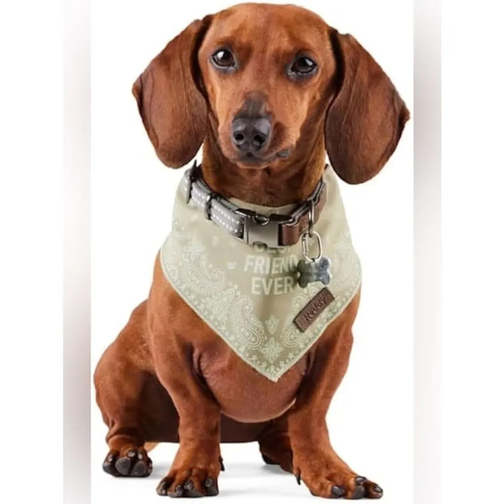 Reddy Bandana Style Pet Scarf 